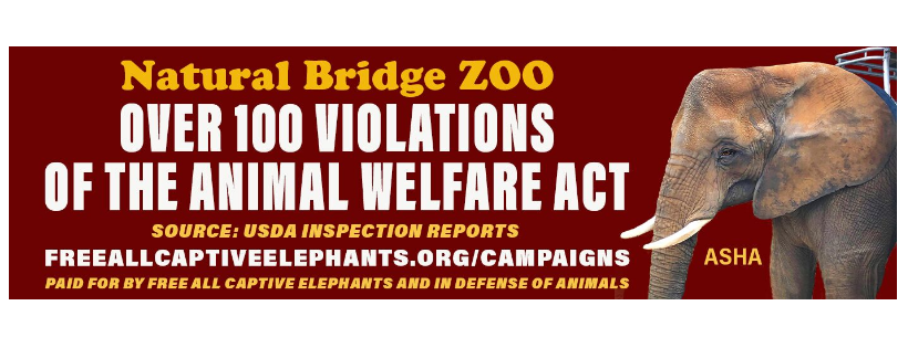 Free All Captive Elephants, Inc.