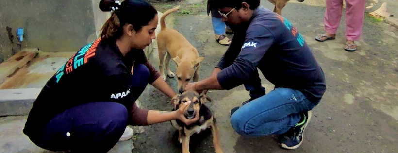 Animal People Alliance