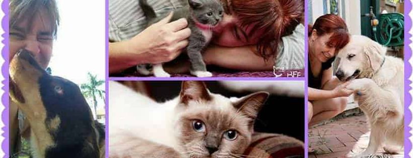 Best Friends Felines Inc