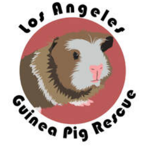 Los Angeles Pet Rescue
