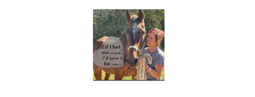 One wish Equine Rescue
