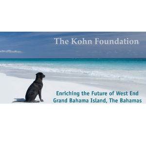 The Kohn Foundation Logo