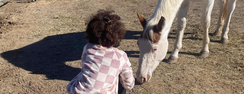 Ruby’s Purpose Animal Rescue & Sanctuary Inc