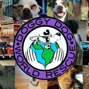 Doggy Dog World Rescue Logo