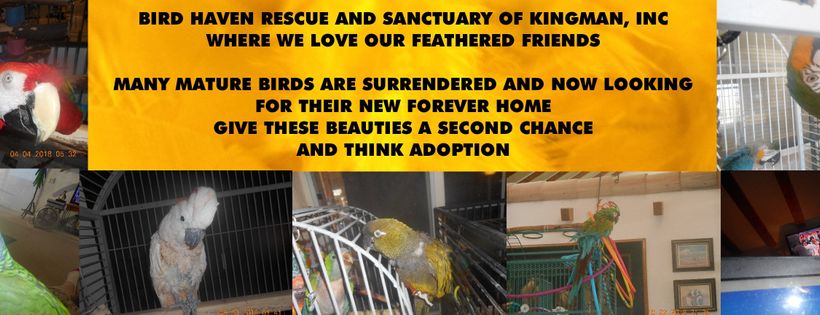 Bird Haven Rescue and Sanctuary of Kingman, Inc.