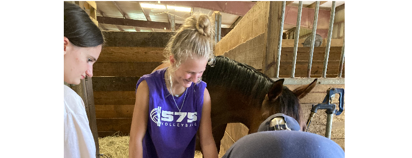 Blue Skies Riding Academy, Inc