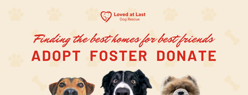 Loved At Last Dog Rescue