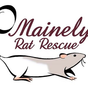 Mainely Rat Rescue Logo