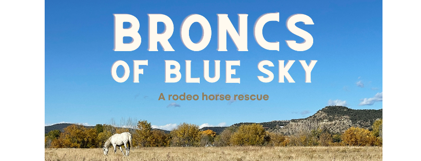 Broncs of Blue Sky