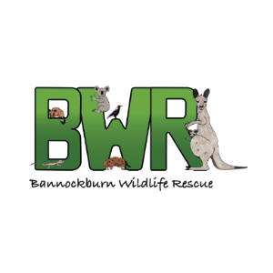 Bannockburn Wildlife Rescue