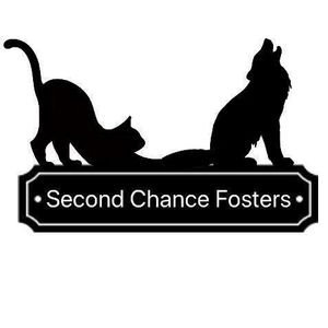 Second Chance Fosters Logo
