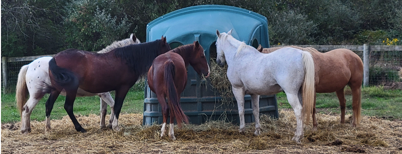 Fairweather Farm Rescue