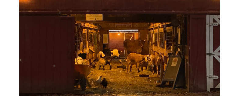 Funny Farm Rescue