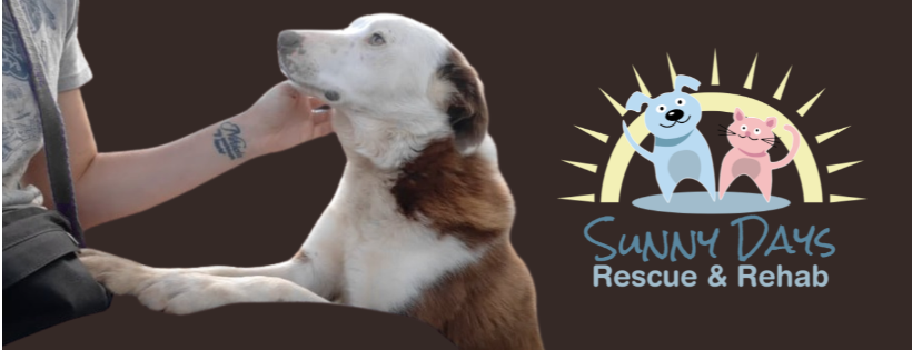 Sunny Days Rescue & Rehab