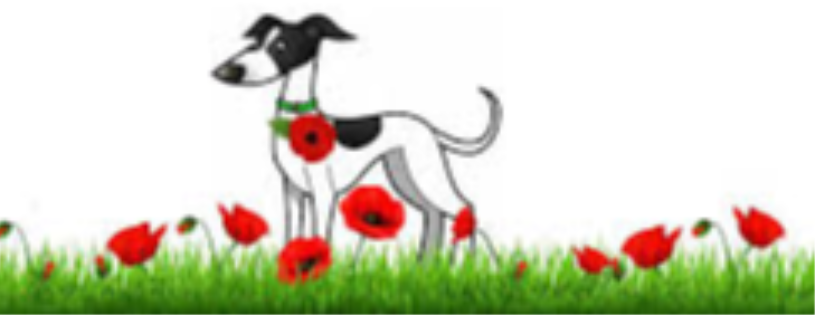 Help a hound