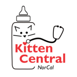 Kitten Central Logo
