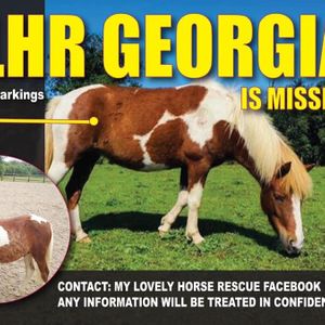 My Lovely Horse Rescue Logo