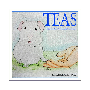 The Excellent Adventure Sanctuary (for guinea pigs with extra needs)