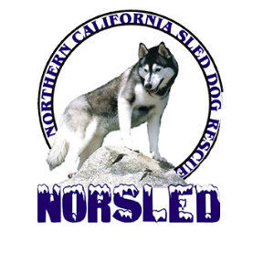 NorSled Rescue Logo