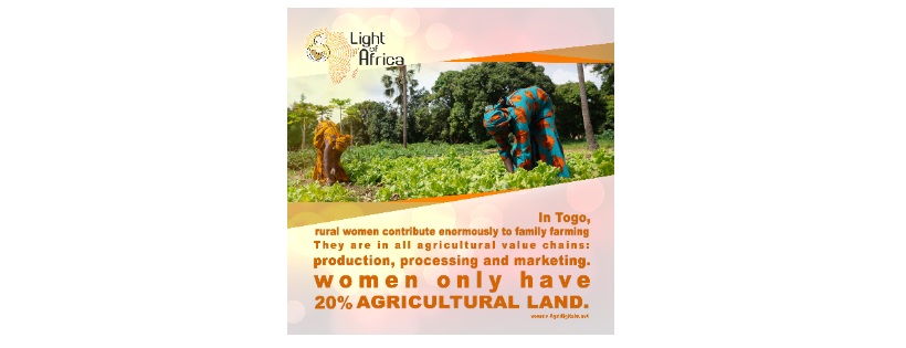 Light Of Africa INC