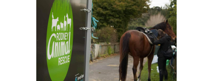Rodney Animal Rescue