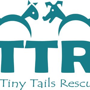 Tiny Tails Rescue Adelaide Inc Logo