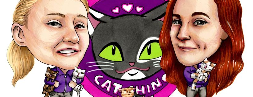 Cat-ching - Sheffield
