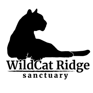 WildCat Ridge Sanctuary