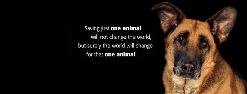 Precious Paws Rescue
