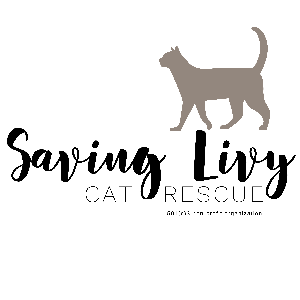 Saving Livy Cat Rescue Logo