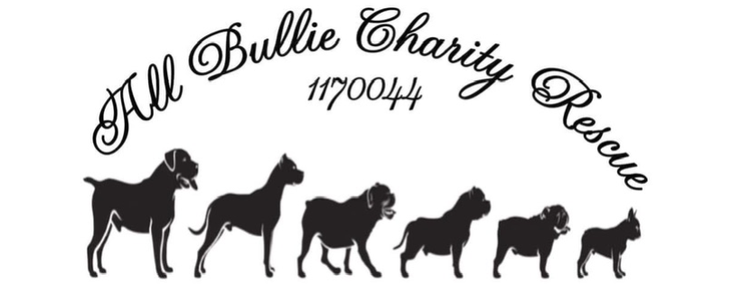 All Bullie charity rescue