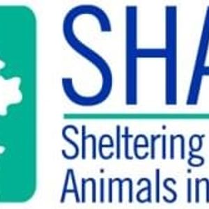 SHAID Tree Animal Shelter Logo