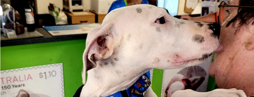 RSPCA Darwin Regional Branch