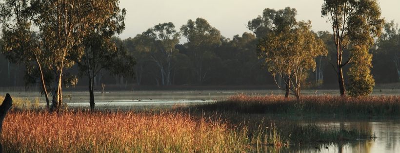 Murray Darling Wetlands Working Group
