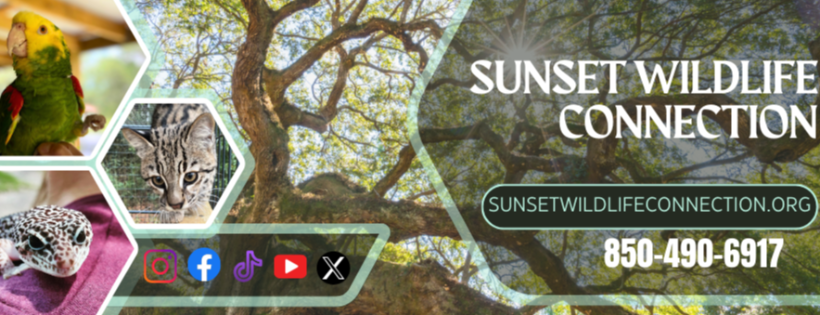 Sunset Wildlife Inc.