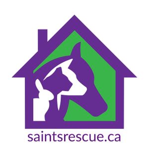 SAINTS Rescue Logo