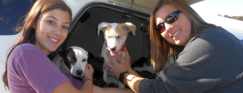 Animal Tails Rescue