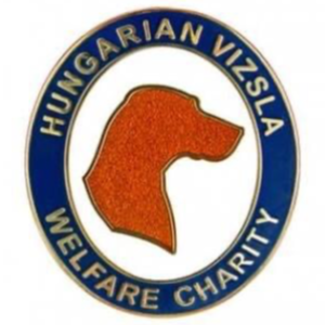 Hungarian Vizsla Welfare Charity