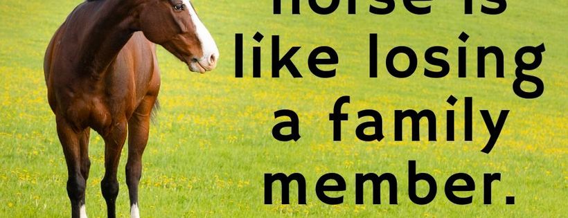 Stolen Horse International