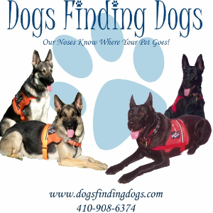 DOGS FINDING DOGS Logo
