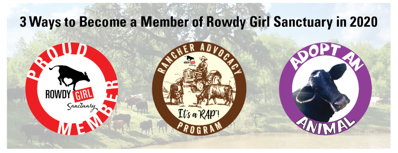 Rowdy Girl Sanctuary, Inc.