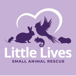 Little Lives Small Animal Rescue Logo