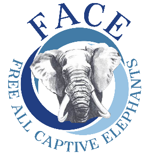 Free All Captive Elephants, Inc.