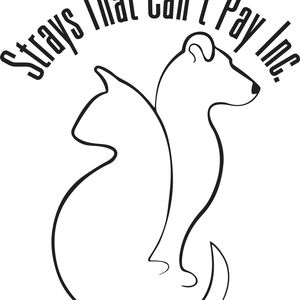 Strays That Can't Pay Inc. Logo