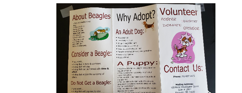 Beagle Rescue, Education and Welfare (BREW)