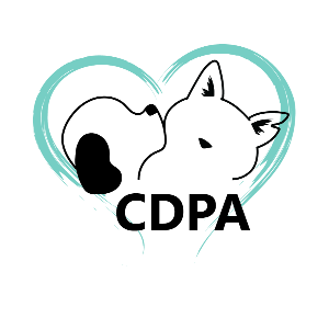 The Cat and Dog Protection Association of Ireland