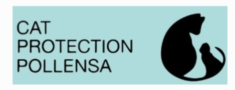 Cat Protection Pollensa Majorca