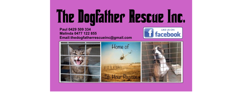 The Dogfather Rescue Inc.