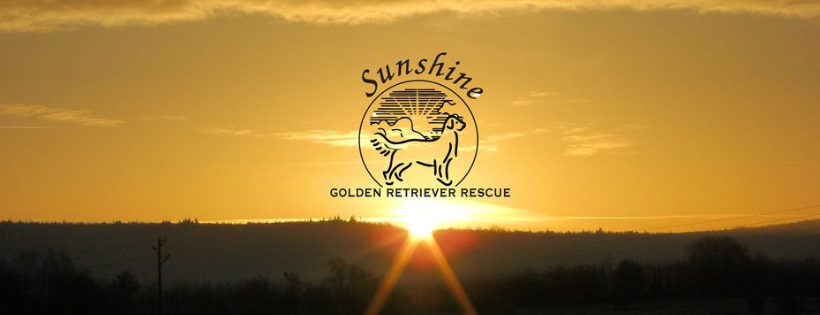 Sunshine Golden Retriever Rescue