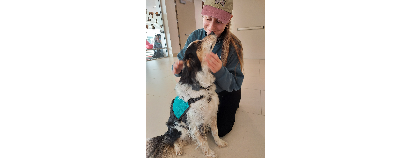 Paws For Friendship Incorporated